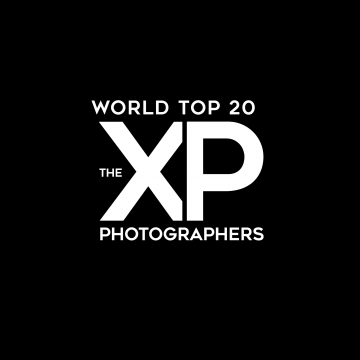 xp top20